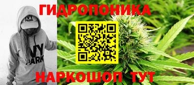 гашиш Шелехов