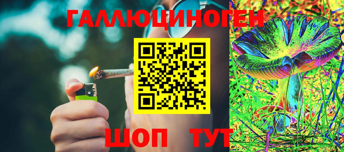 Назрань  Псилоцибиновые грибы Cubensis  Вход с VPN 